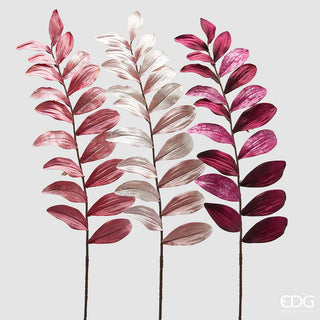 EDG - Ramo Zamifolia
