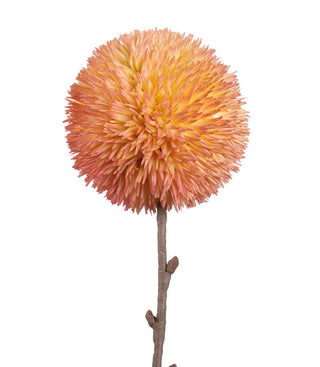 L'Oca Nera - Allium