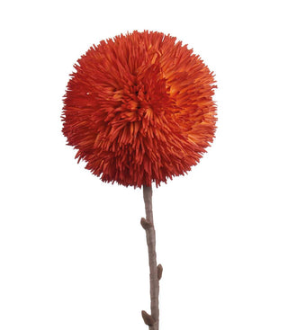 L'Oca Nera - Allium