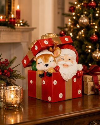 Tim Store - Santa box