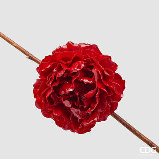 EDG - Peonia