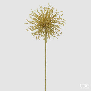 EDG - Ramo