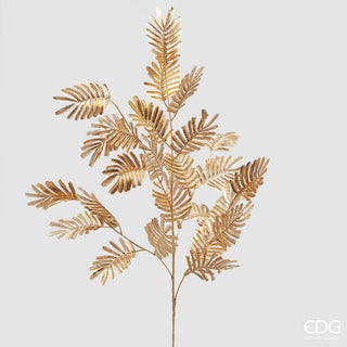 EDG - Ramo