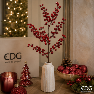 EDG - Ramo