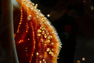 Mauro Ferretti - Quadro Illumy