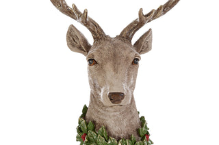 Le Stelle - Testa Renna