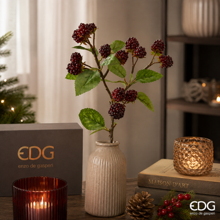 EDG - Ramo
