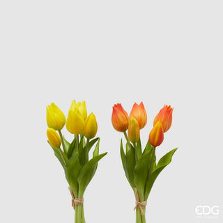 EDG - Tulipano