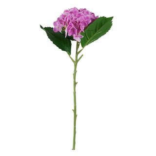 Stilè - Ortensia