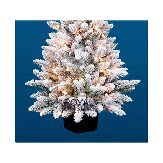 Royal Christmas - Albero Mini  Flock Deluxe C/Led