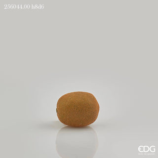 EDG - Kiwi