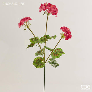 EDG - Geranio