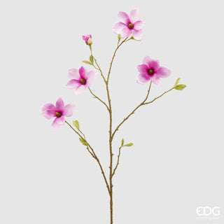 EDG - Magnolia